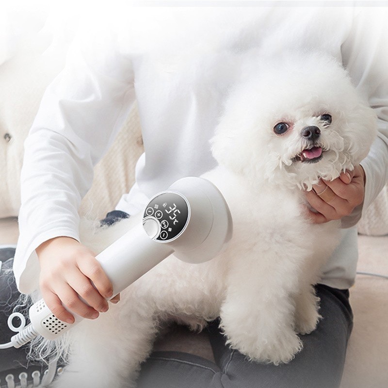 Smart Pet Hair Dryer Dog Golden Retriever Cat Grooming Hairdressing Blow & Comb Silent No Harm Pet Cleaning Supplies Pet Products - Image 2